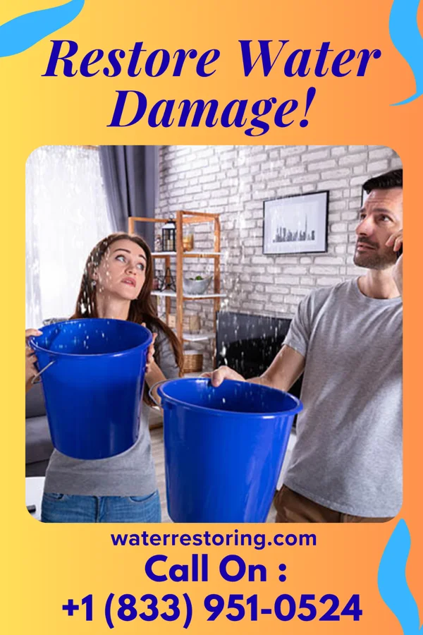 water restoration Expert Disaster Cleanup Co Minier