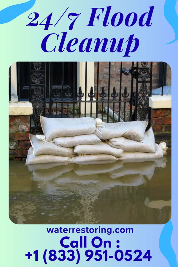 24/7 Flood Cleanup in Minier, IL