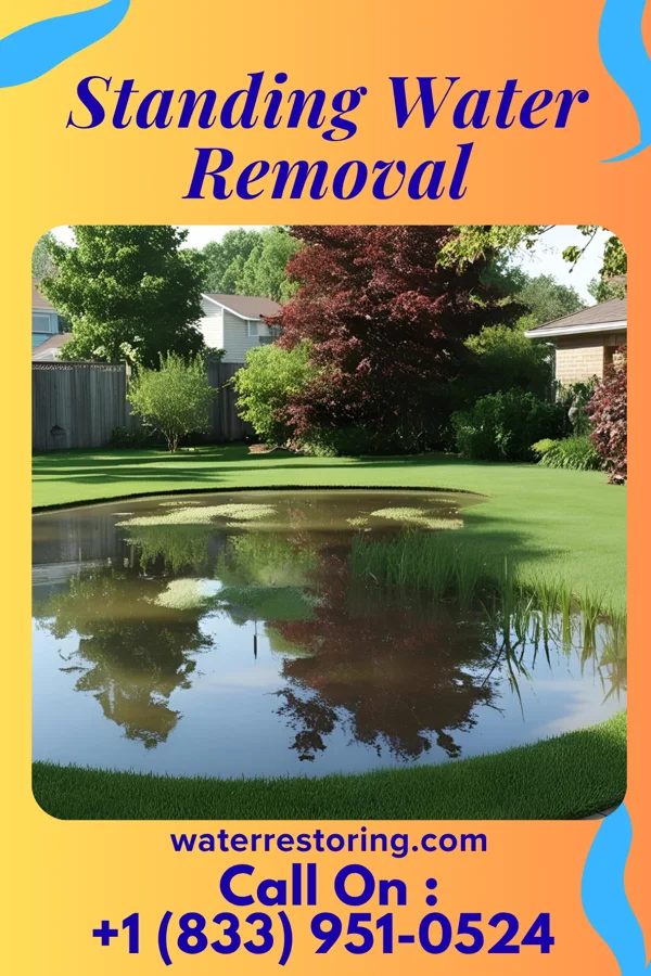 Standing Water Removal in Minier, IL